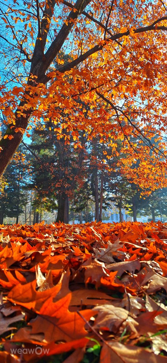 Фотографии Погоды в Габрово. Прогнозы погоды с чудесными фотографиями, сделанными Nencho Penchev