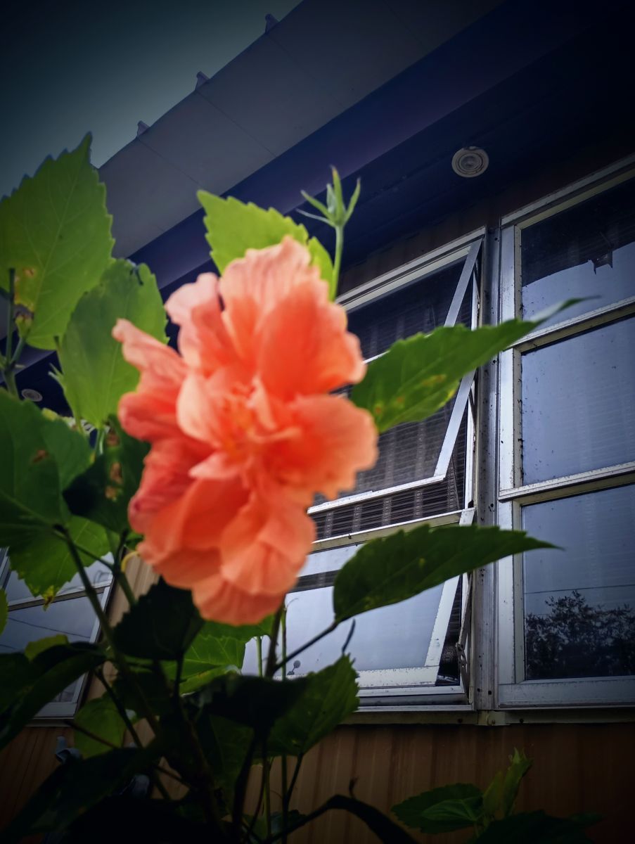 Weather Photos in Florida. Weather forecasts with beautiful photos by Christinam01