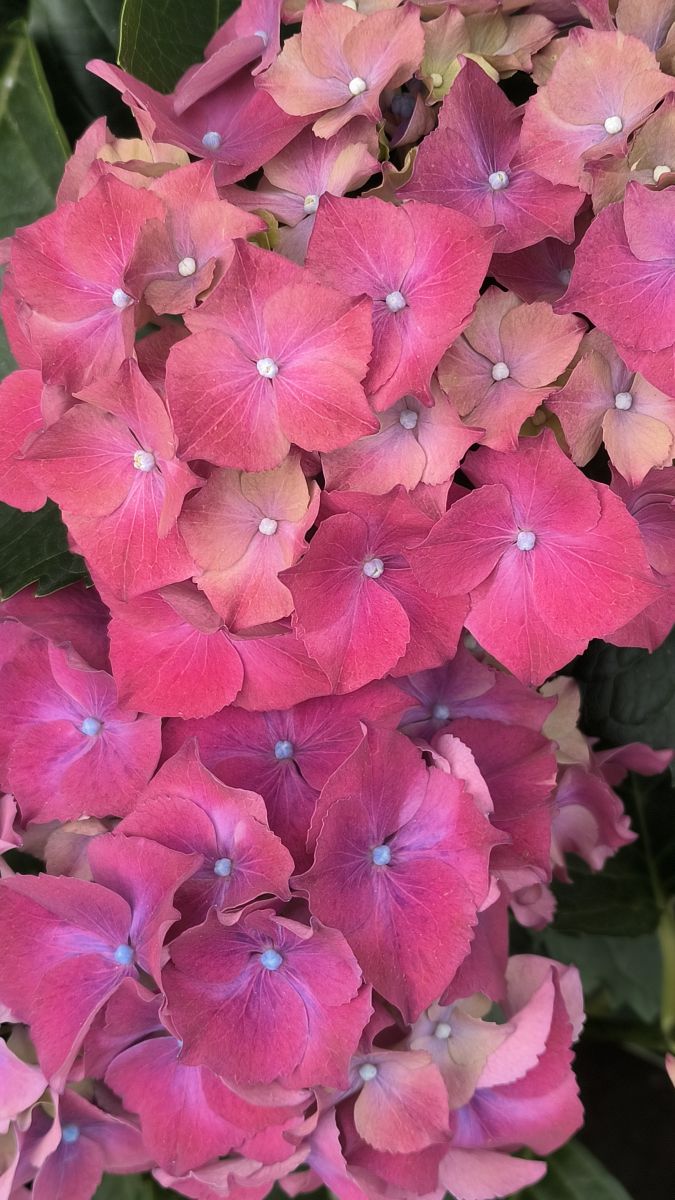 Fotos sobre el clima en Strada Bozieni 6. Pronósticos del tiempo con hermosas fotos de YanBog