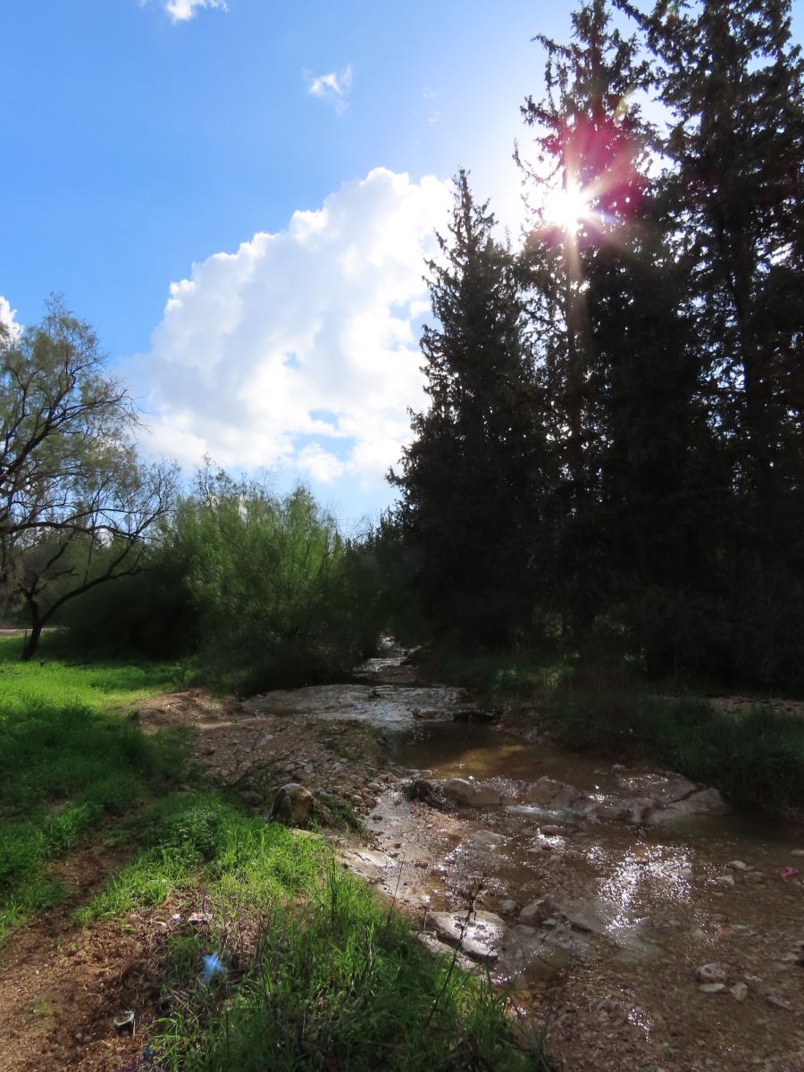 Dự báo thời tiết với những bức ảnh đẹp của Sviatoslav