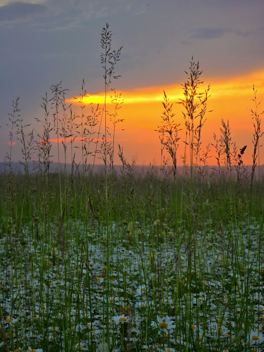 Weather forecasts with beautiful photos by Lidiyalasheva