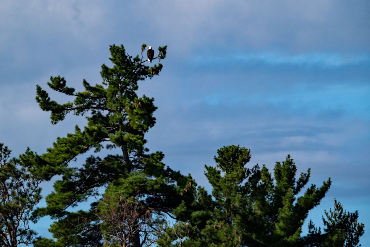 Weather Photos in Rainy Lake. Weather forecasts with beautiful photos by krantzjh