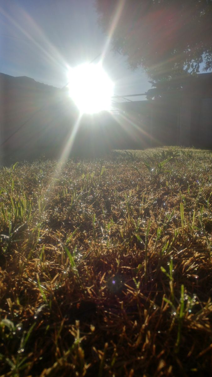 Weather Photos in Villa Constitución. Weather forecasts with beautiful photos by Humberto Cañizares