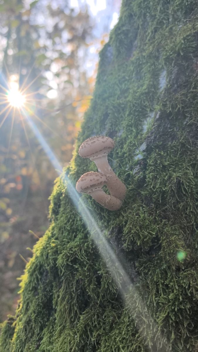 Fotografos Igor-65, Fotos do tempo em Berlim - Weawow