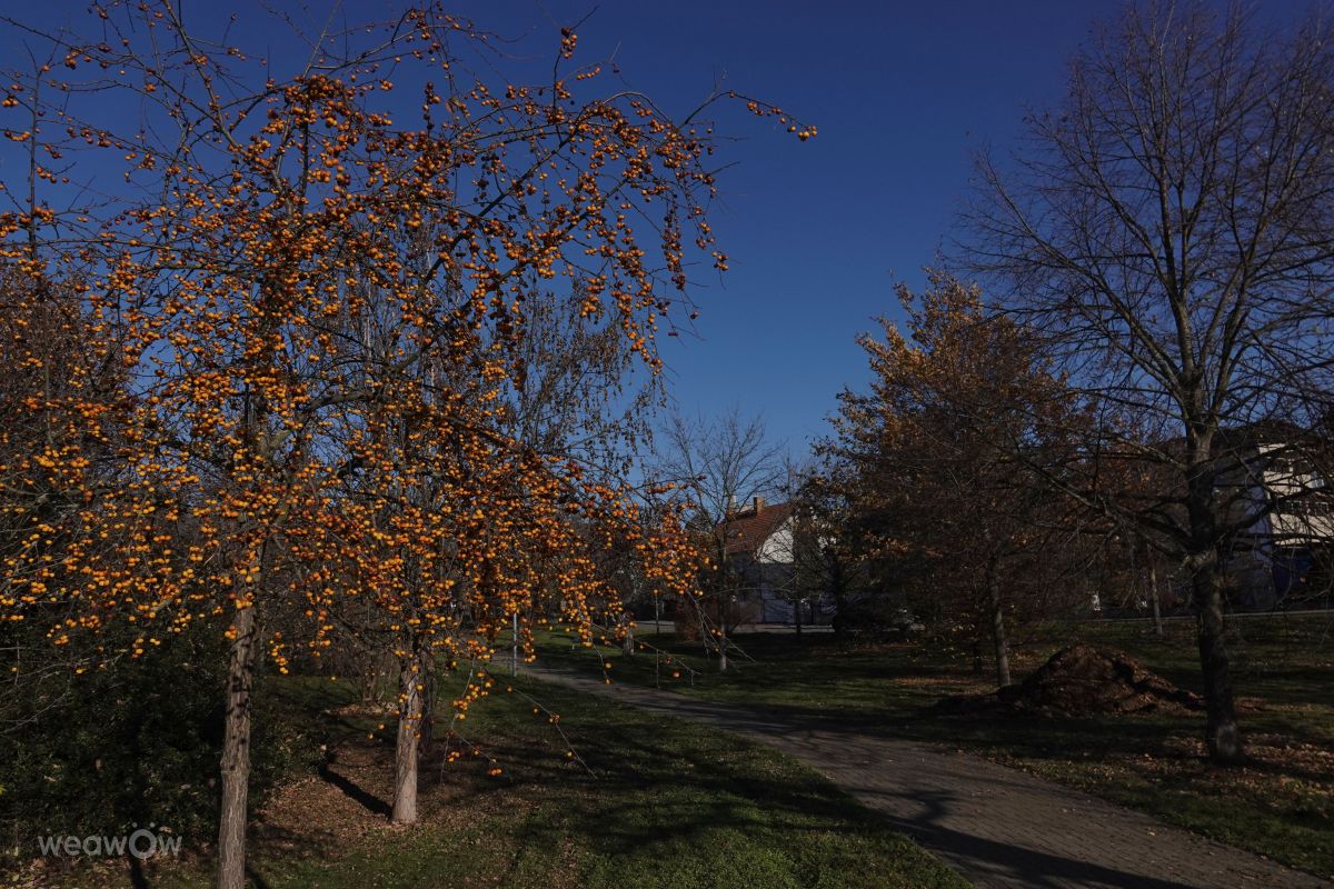 Fotografos Vasek325, Fotos do tempo em Praha 4 - Weawow