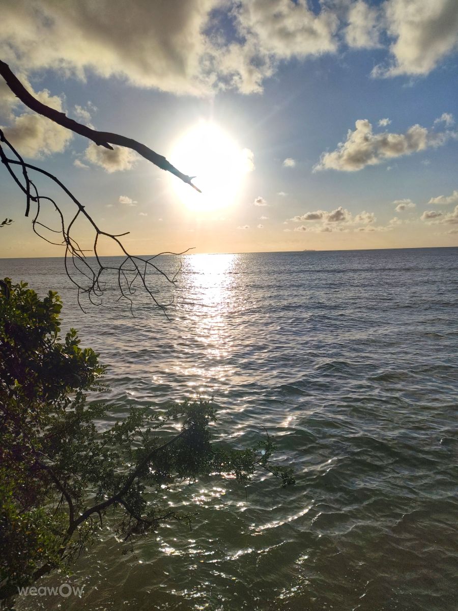 Photograph Wakarima, Wetter Photos Mombasa - Weawow