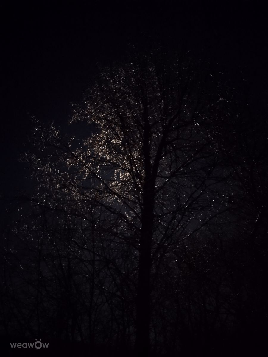 Weather Photos in Ukraine. Weather forecasts with beautiful photos by mikhai