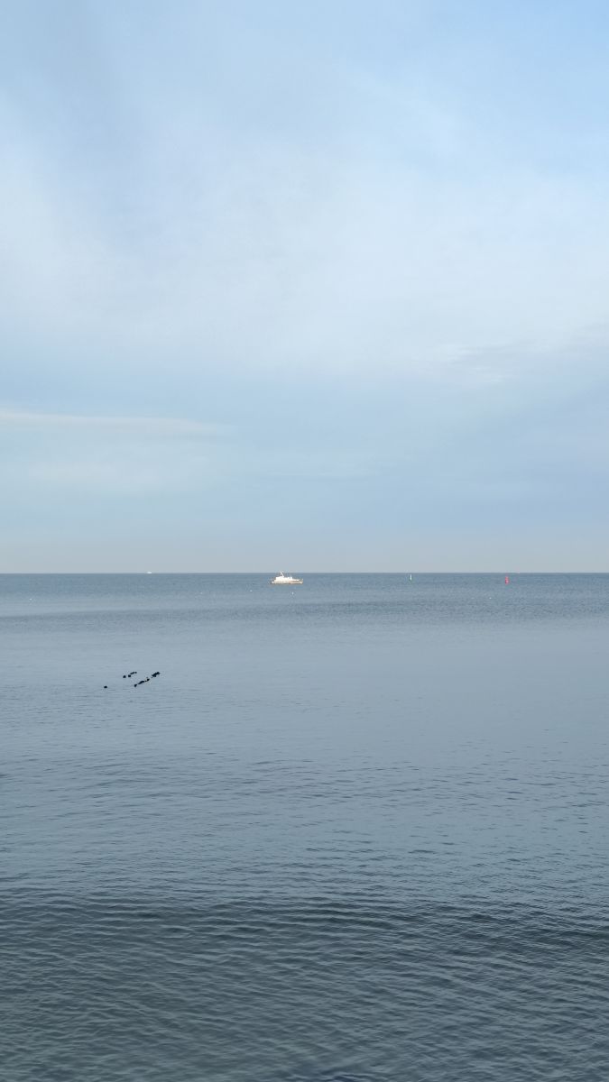 Фотограф Михаил Бондаренко, Фотографии Погоды в Пионерский - Weawow