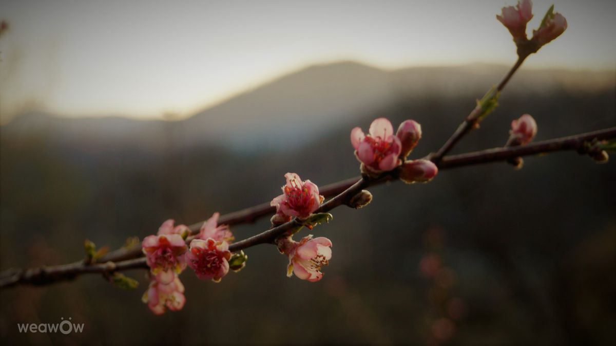 Fotos sobre el clima en Chernivtsi. Pronósticos del tiempo con hermosas fotos de Маша Дзерин