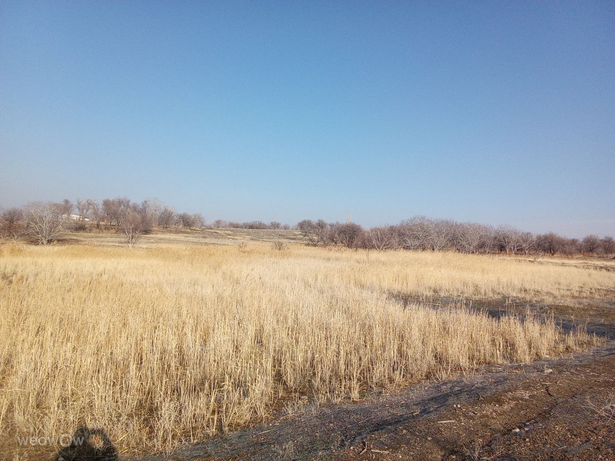 Weather Photos in Saveh. Weather forecasts with beautiful photos by Qazmlpok