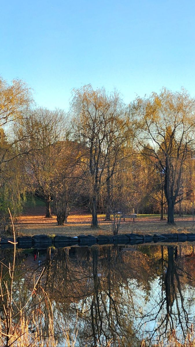 Wetter Photos Beaverbrook. Wettervorhersagen mit schönen Fotos von KevinG