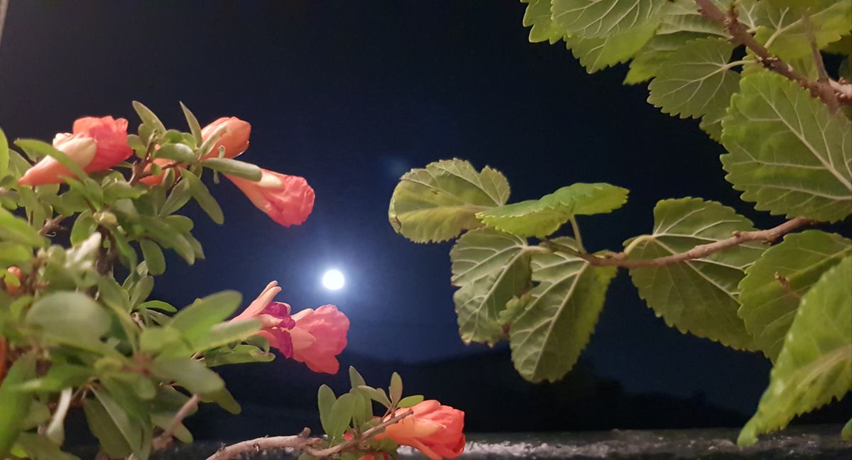 Photographer deliagt, Weather Photos in Madrid - Weawow