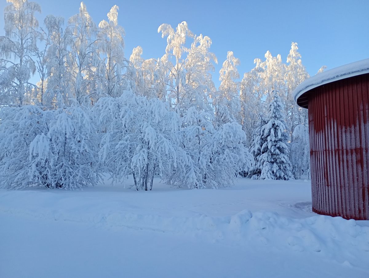 Fotos sobre el clima en Ostrobotnia del Norte. Pronósticos del tiempo con hermosas fotos de Juki