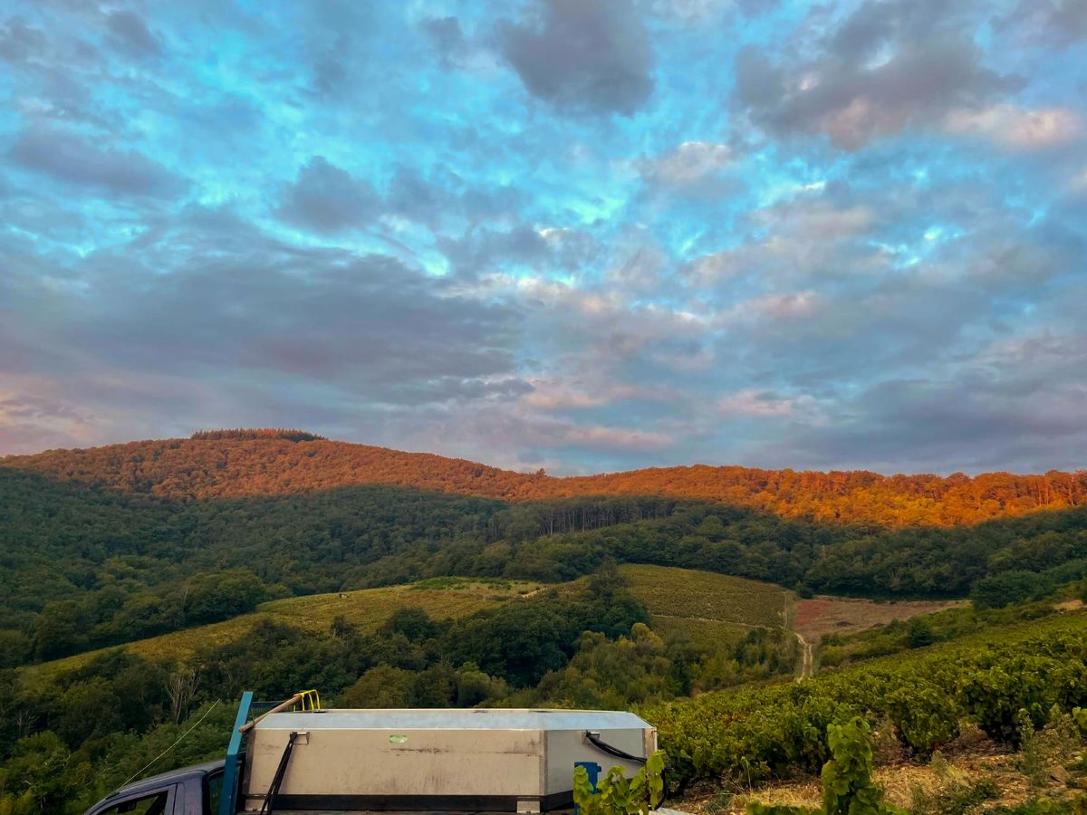 Weather Photos in Beaujolais. Weather forecasts with beautiful photos by Andbot_