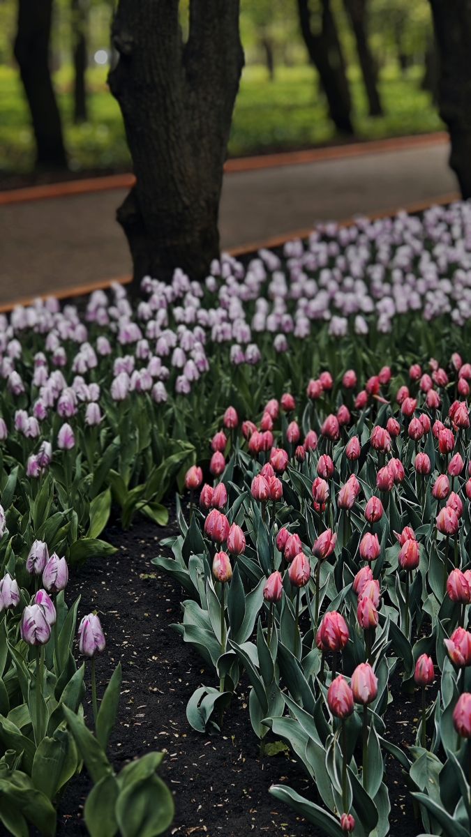 Wetter Photos Kropywnyzkyj. Wettervorhersagen mit schönen Fotos von Synieok