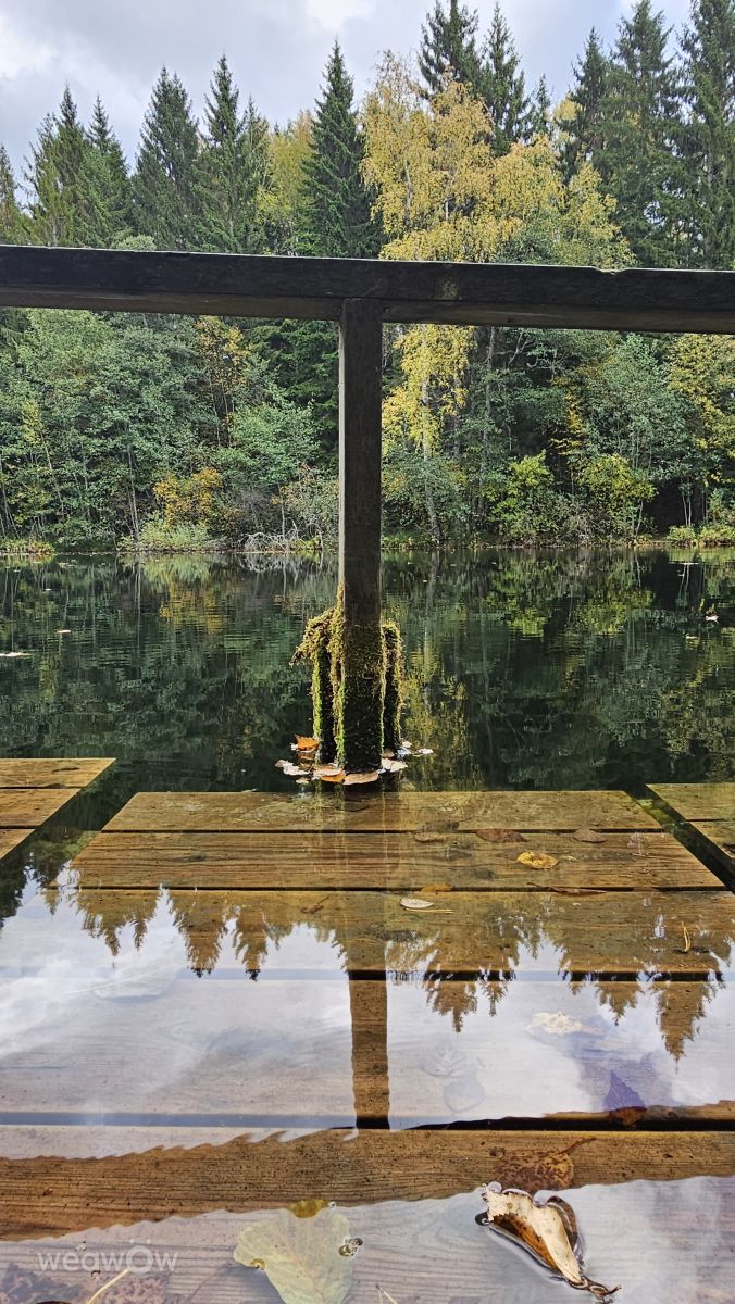 Wetter Photos Schweden. Wettervorhersagen mit schönen Fotos von Susanne Sussi Wetterholm