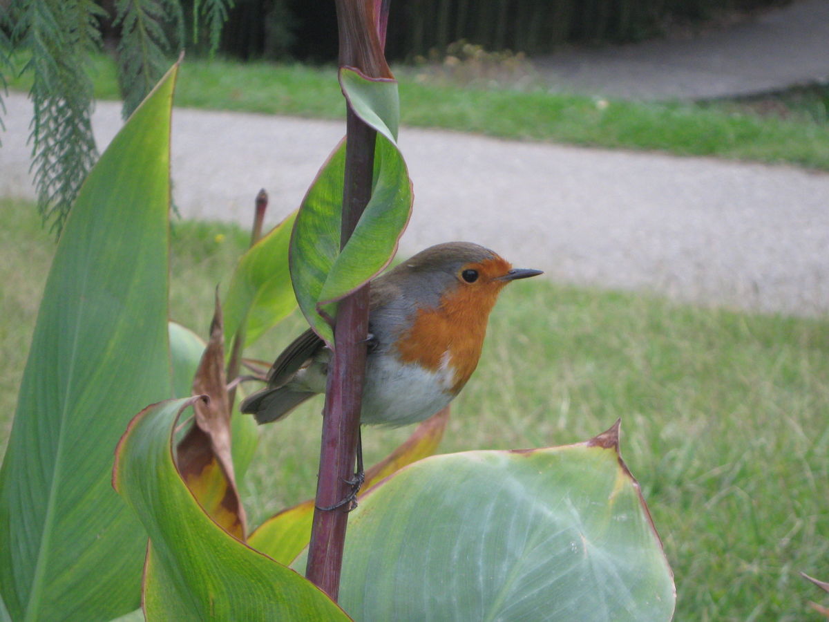 Fotógrafo MariaB, Fotos sobre el clima en Sochi - Weawow