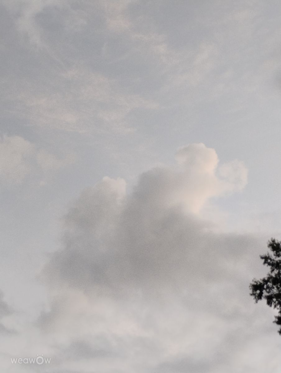 Weather Photos in Riverwalk Parkway. Weather forecasts with beautiful photos by Awcat