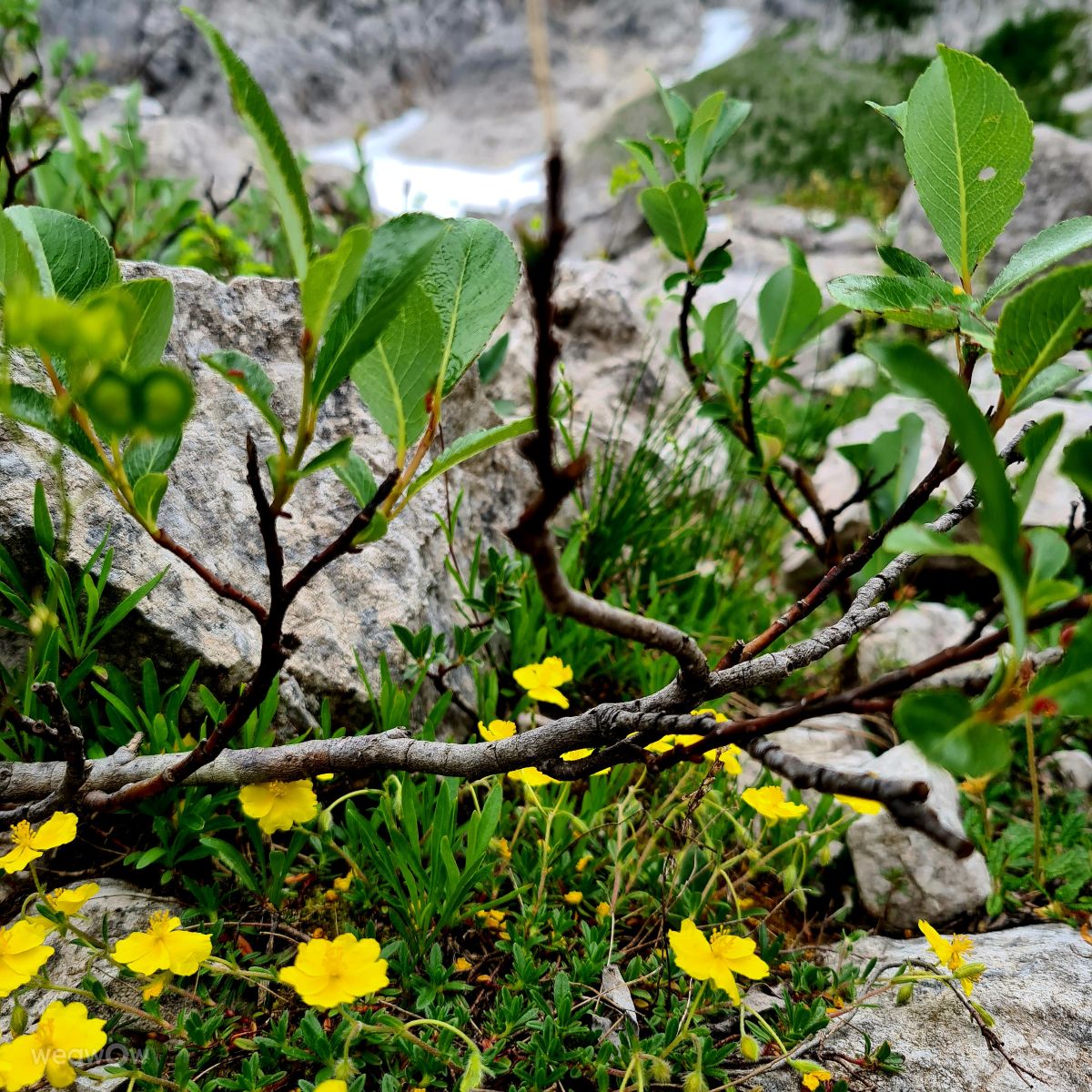 Weather Photos in Slovenia. Weather forecasts with beautiful photos by Kumer