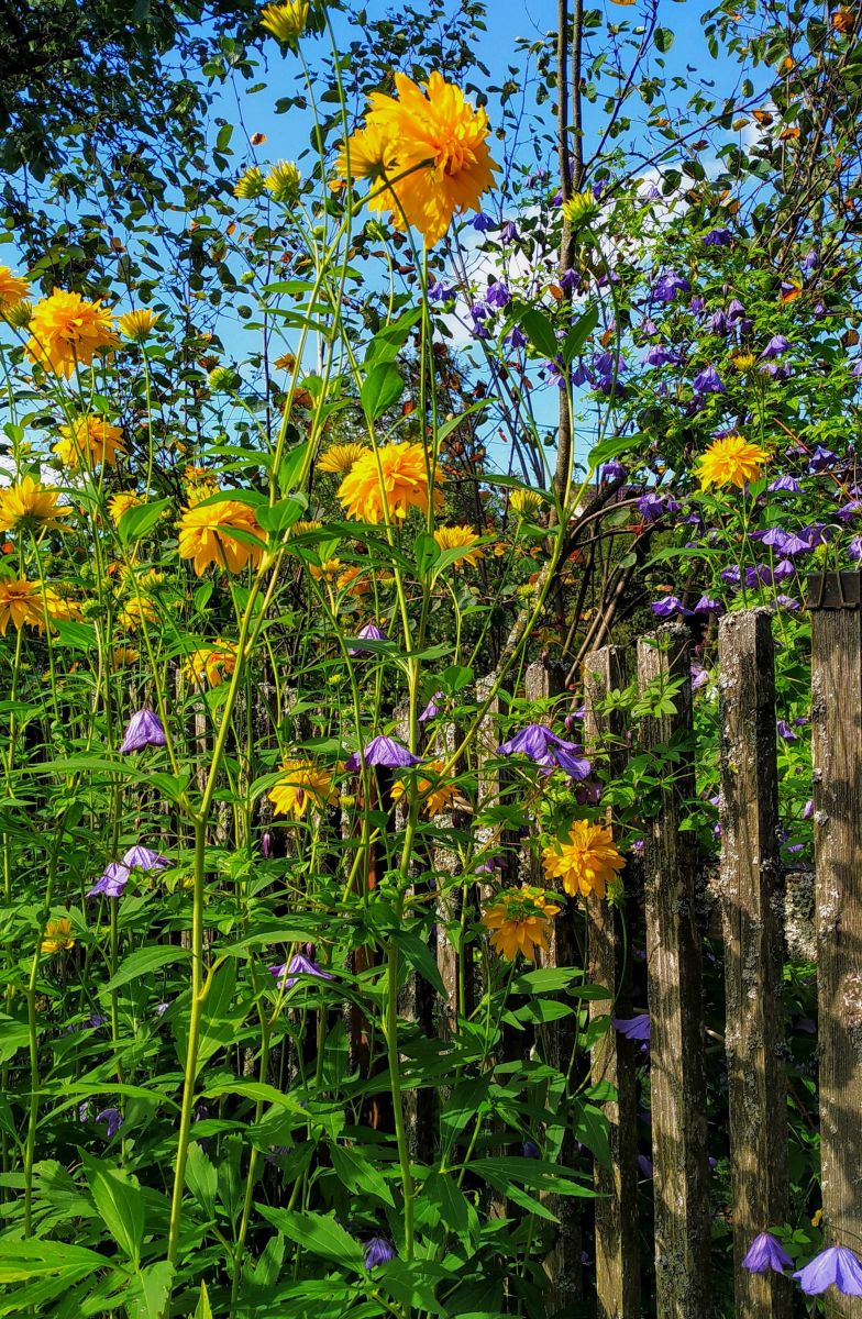 Photos météo à Serpukhov. Prévisions météo avec de superbes photos de 19Lora46