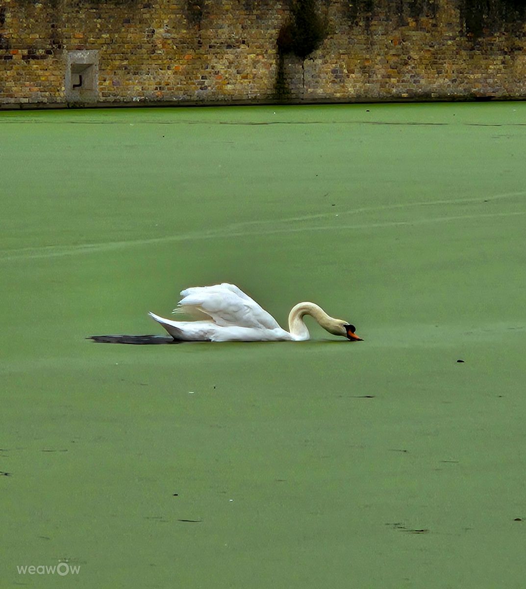 Weather Photos in بلجيكا. Weather forecasts with beautiful photos by nadiafeys