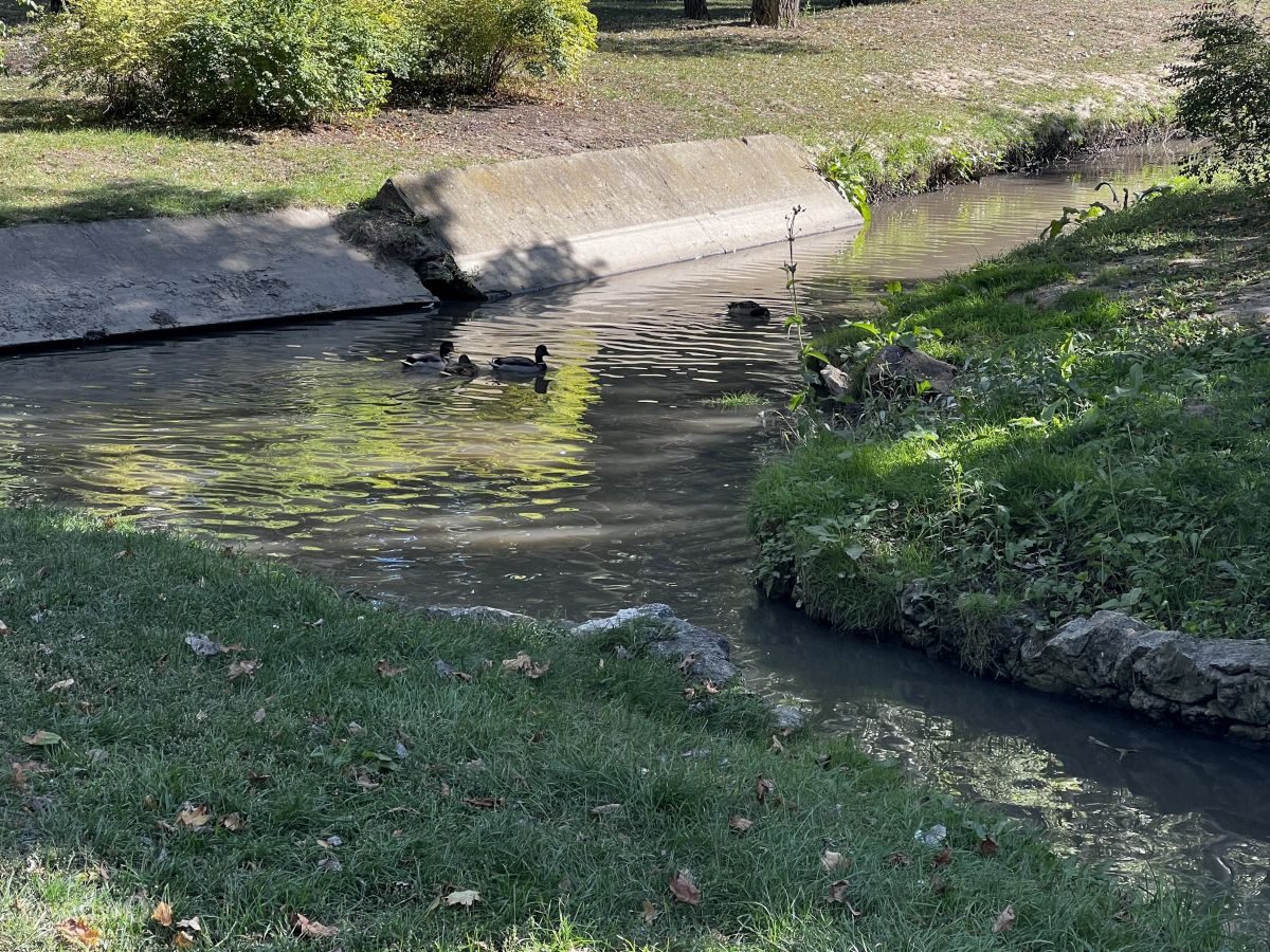 Fotos do tempo em Chişinău. Previsões do tempo com lindas fotos de InnaMoon