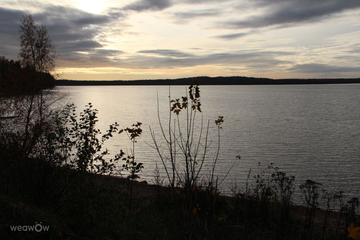 Leningrad的天气照片. 天气预报，带urubu精美的照片
