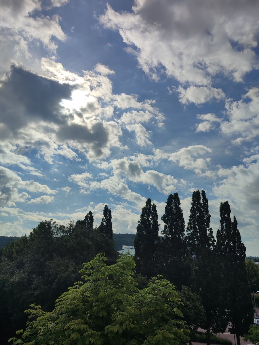 Photographer Tercis, Weather Photos in Ettlingen - Weawow