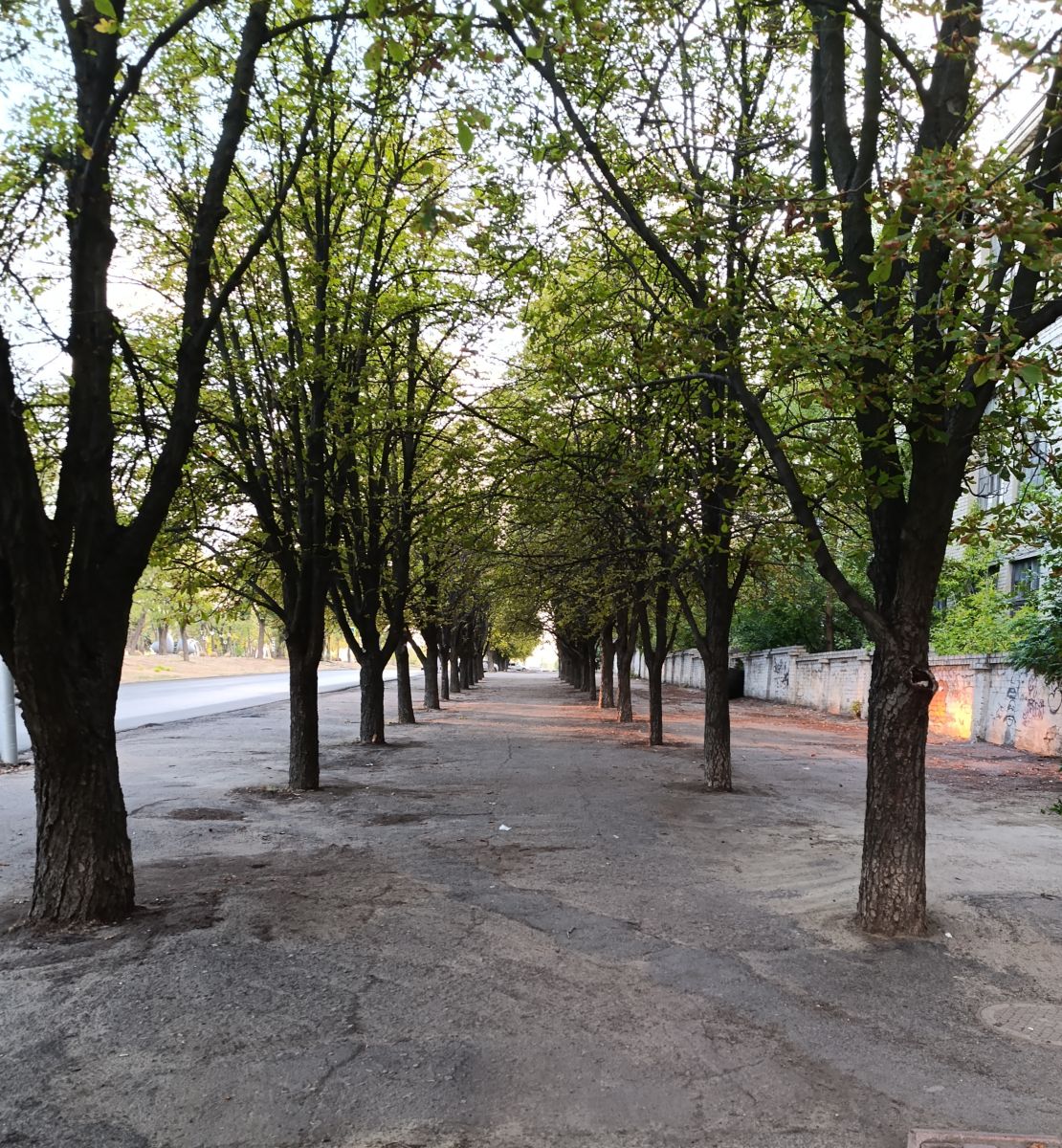 ルハーンシクの天気写真. Анжの美しい写真による天気予報