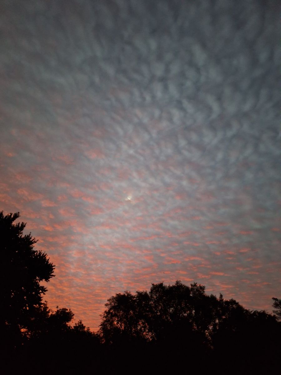 Photographer ccdn0630, Weather Photos in Barrie - Weawow