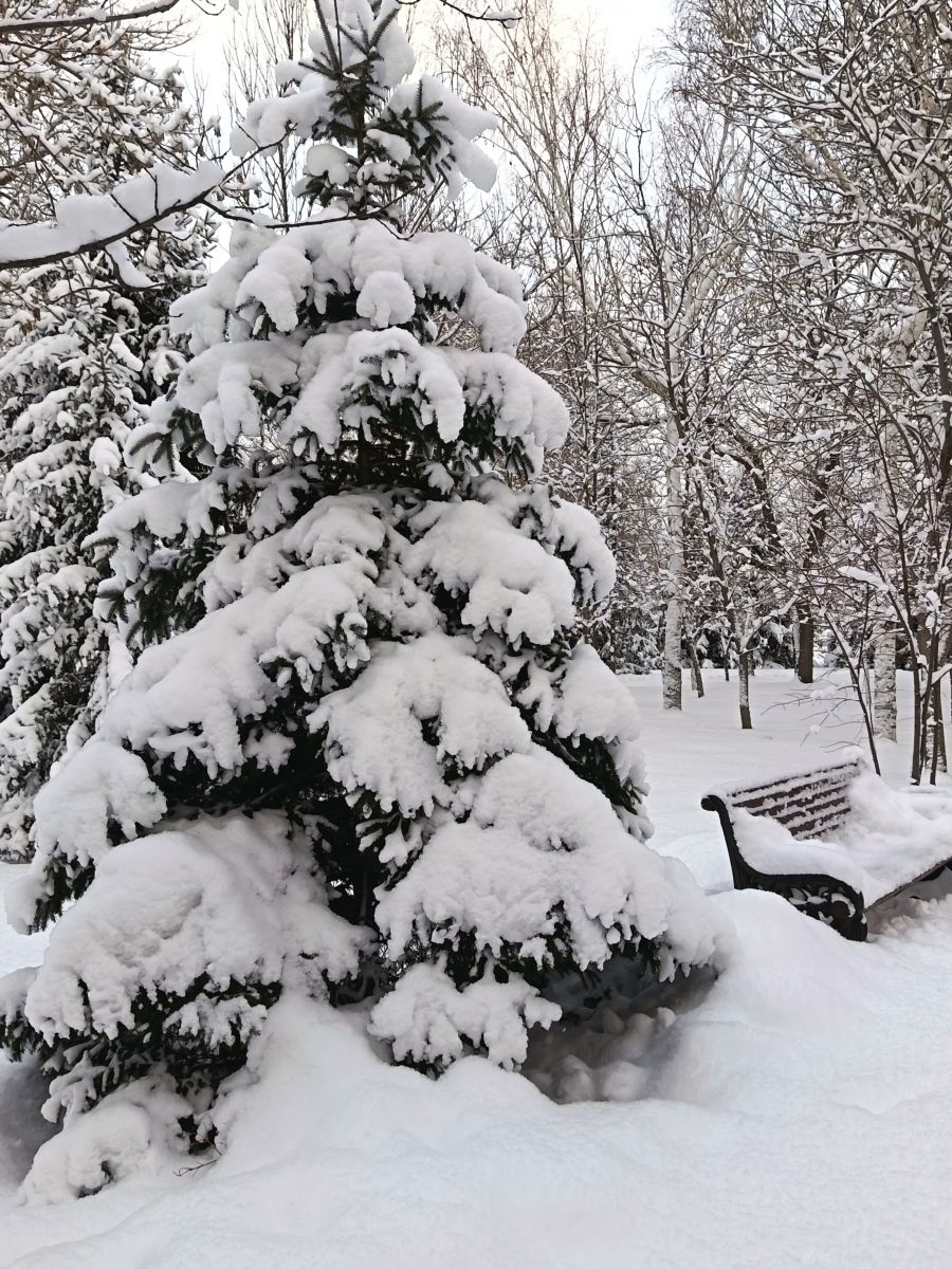 Fotos sobre el clima en Kazajstán. Pronósticos del tiempo con hermosas fotos de ЮлЯШа