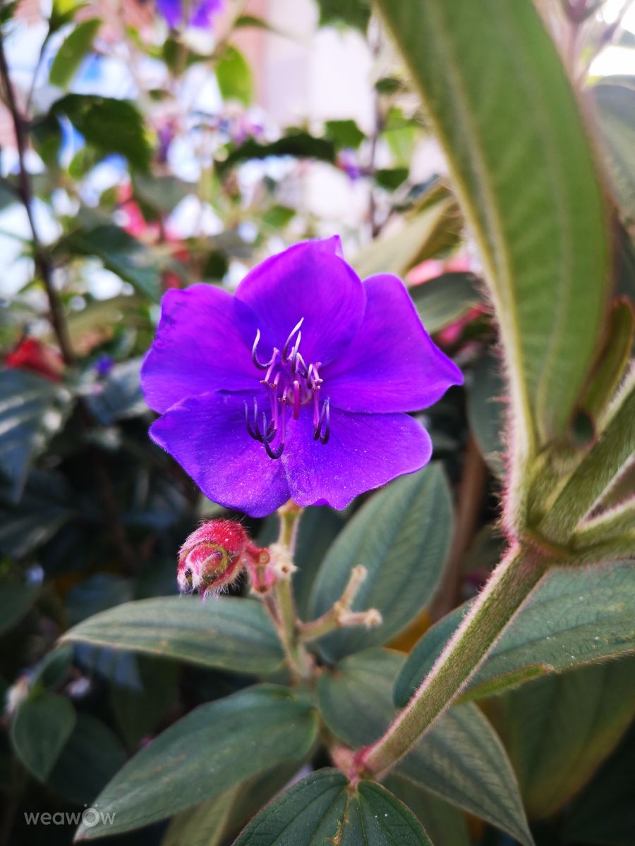 Fotos sobre el clima en Colombia. Pronósticos del tiempo con hermosas fotos de Medusahra
