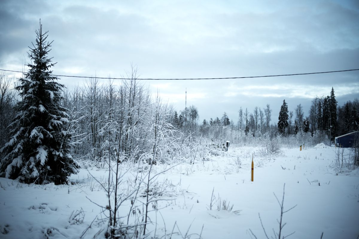 Weather Photos in Kingisepp. Weather forecasts with beautiful photos by DPCYDD