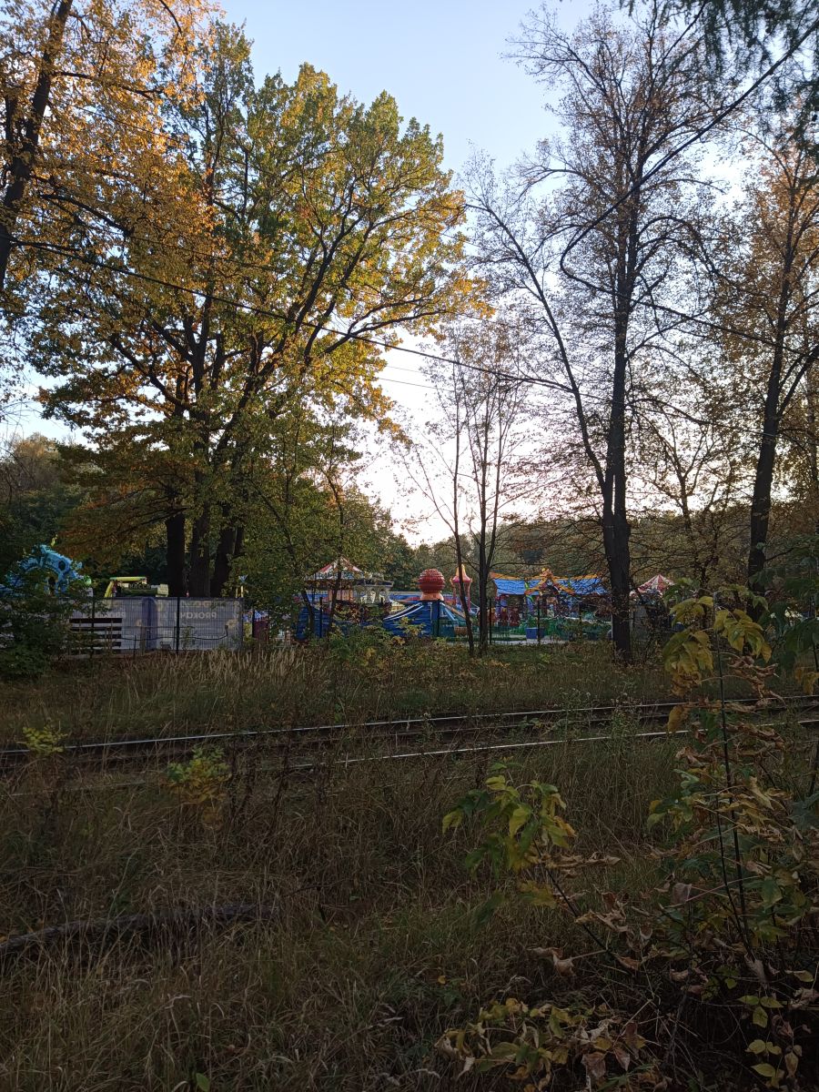 Photographer Amanda_and_Valdemar_Che, Weather Photos in Izmaylovo District - Weawow