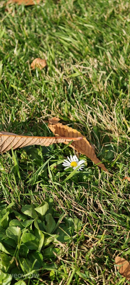 Fotos do tempo em Cluj-Napoca. Previsões do tempo com lindas fotos de MakiCami