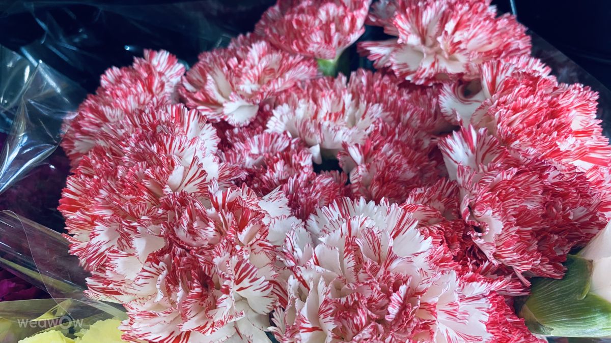 гисметео качканар. погода в вологде на месяц. прогноз погоды арск на две недели. прогноз погоды арск на две недели. прогноз погоды тимашевск.