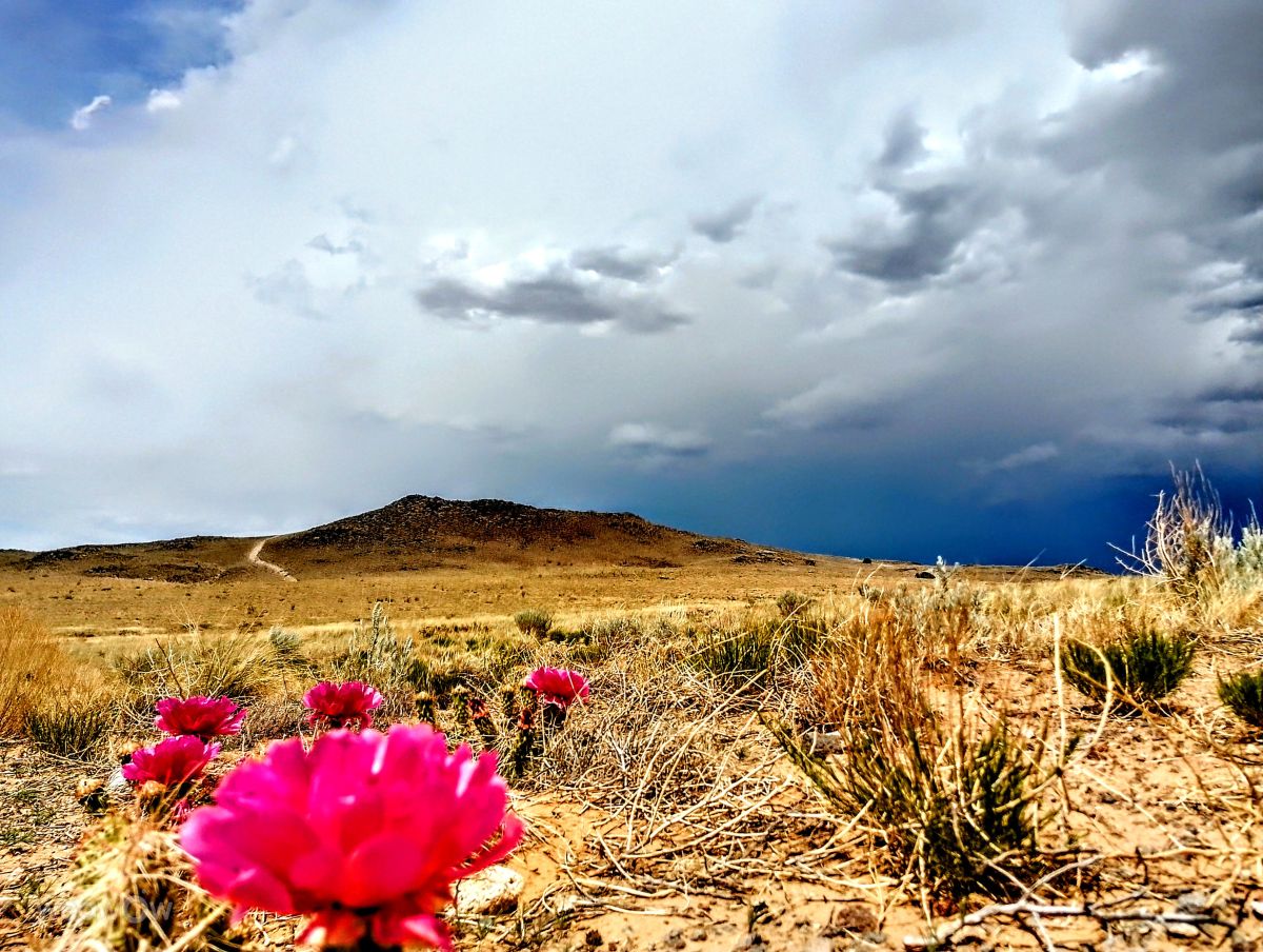 Weather forecasts with beautiful photos by marvin616