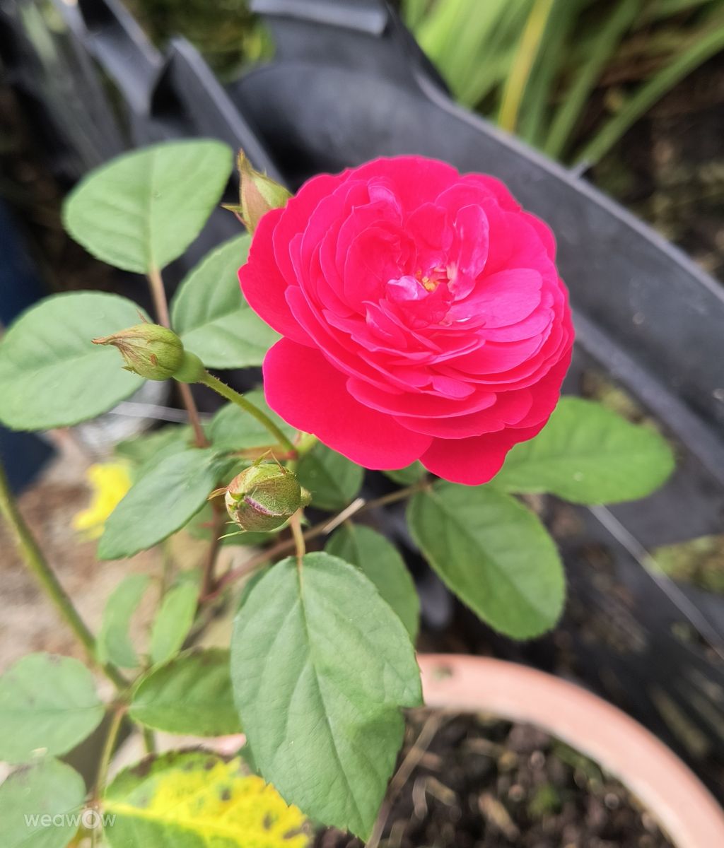 Photos météo à North Carolina. Prévisions météo avec de superbes photos de EZ1