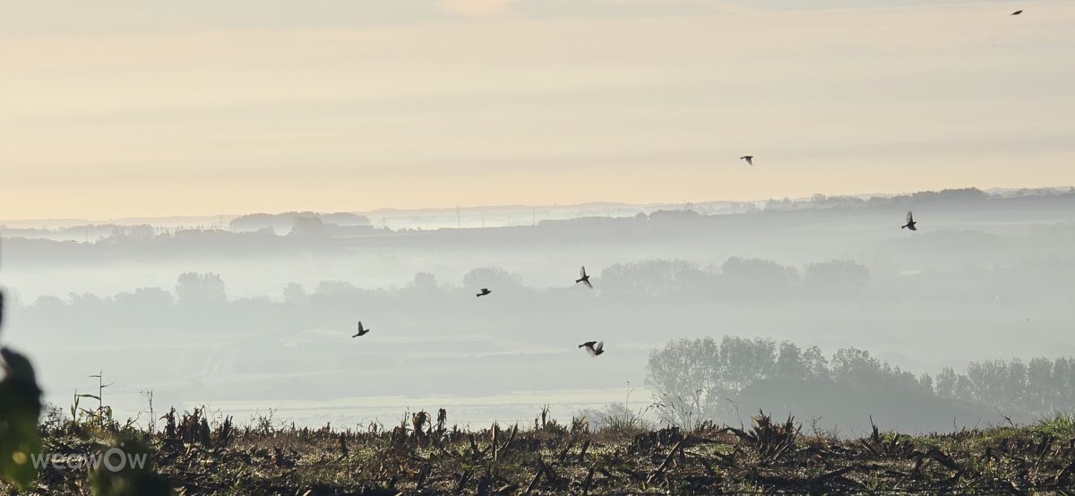 Prévisions météo avec de superbes photos de Bobsky