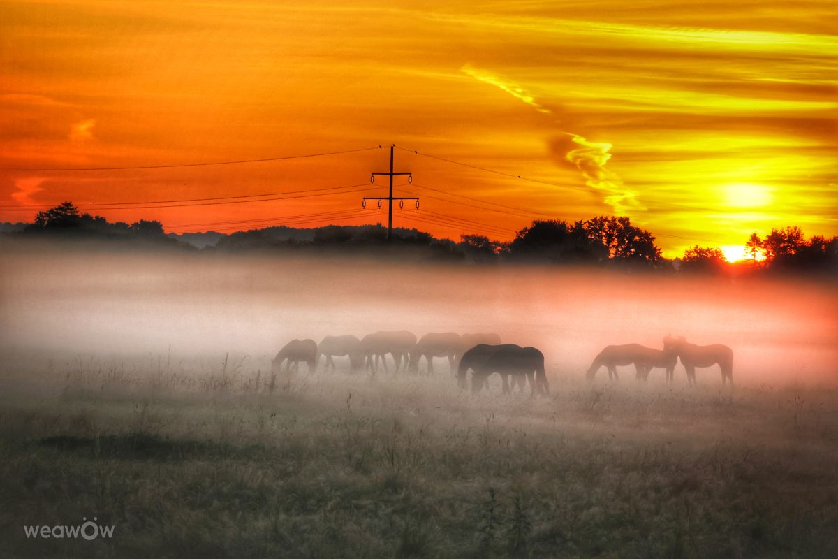 Photographer Lotti5507, Weather Photos in Geisecke - Weawow