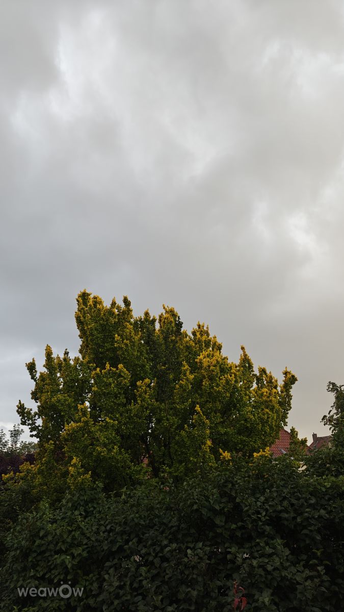 Фотографии Погоды в Нижняя Саксония. Прогнозы погоды с чудесными фотографиями, сделанными Levin