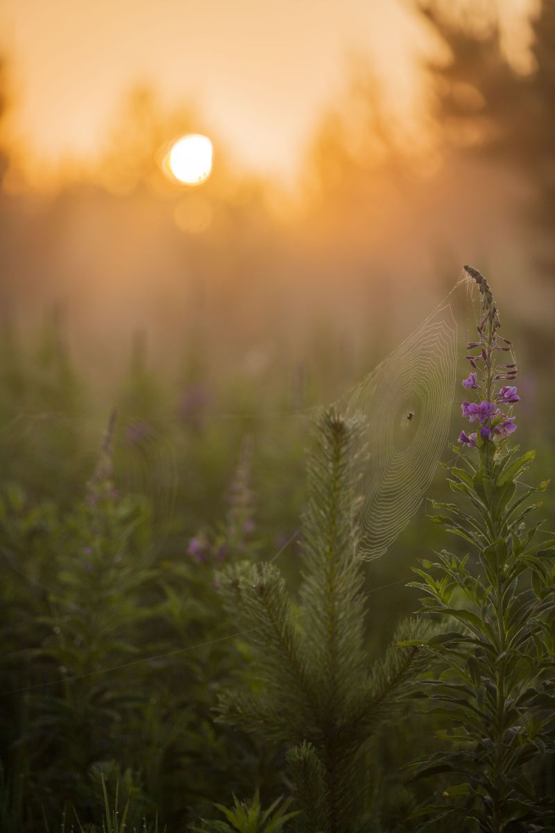 Weather Photos in Bashkortostan Republic. Weather forecasts with beautiful photos by Nymph542