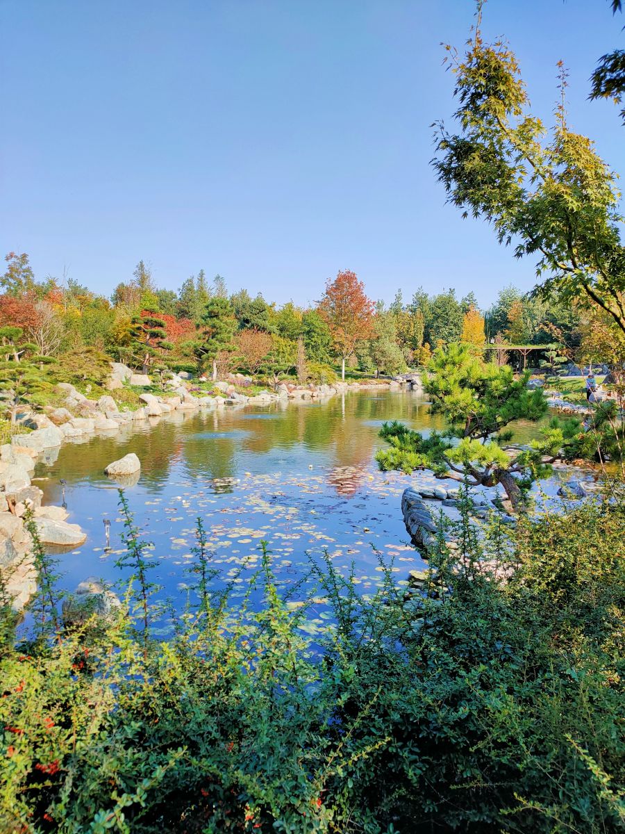 Photographe Belkka303, Photos météo à Krasnodar - Weawow