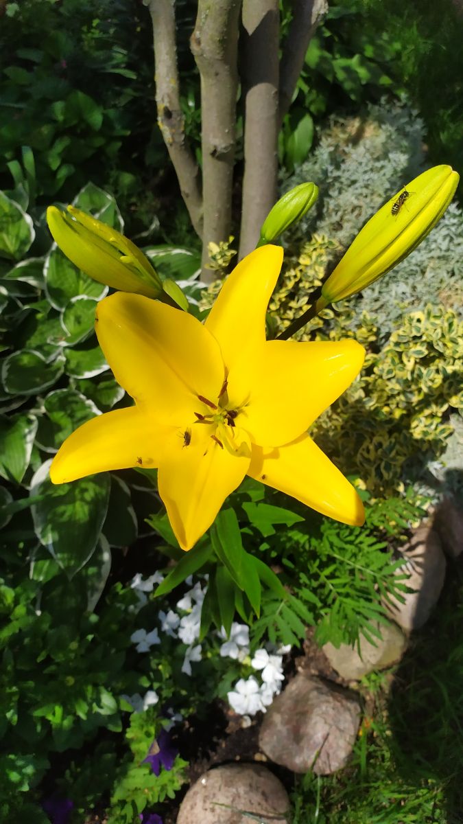 Fotos sobre el clima en Goradnia. Pronósticos del tiempo con hermosas fotos de maxonishe