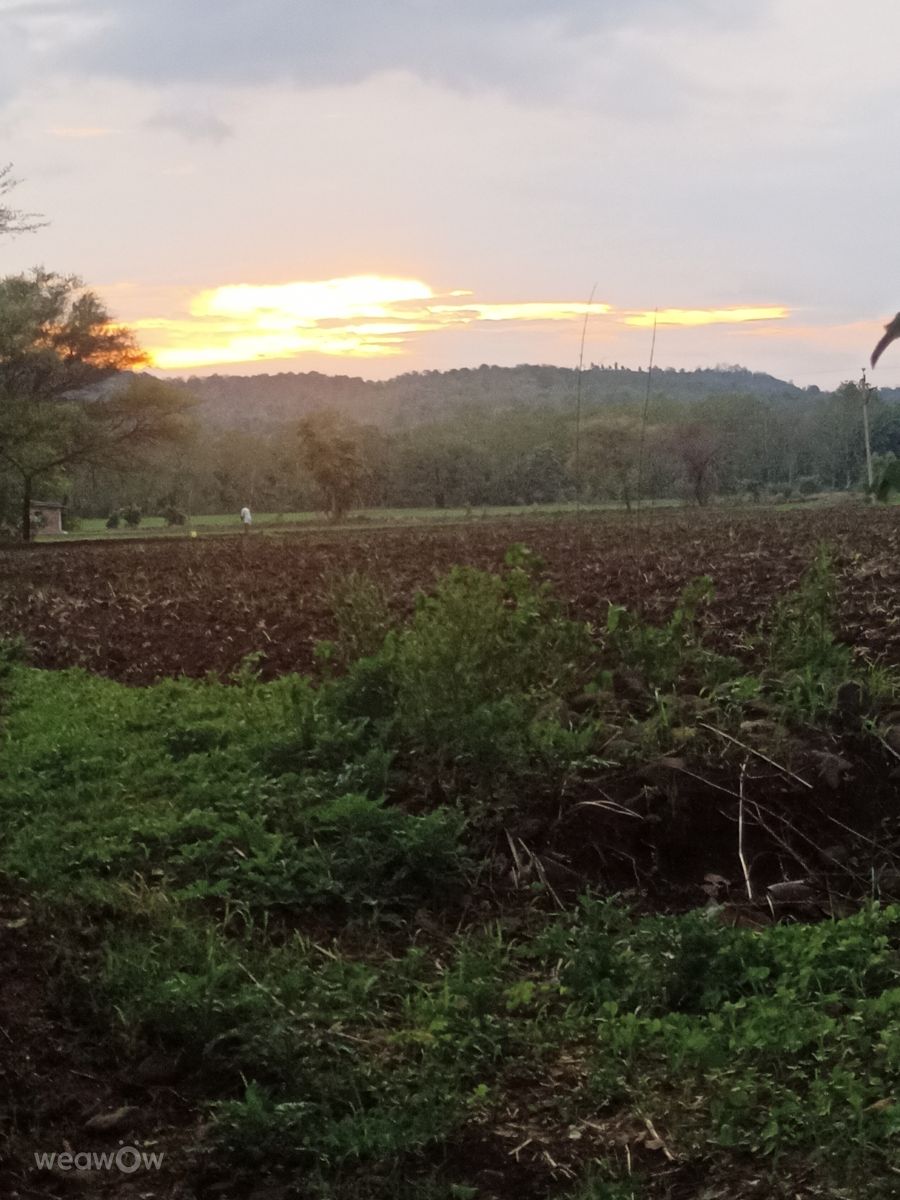 Wetter Photos Madhya Pradesh. Wettervorhersagen mit schönen Fotos von Monika001