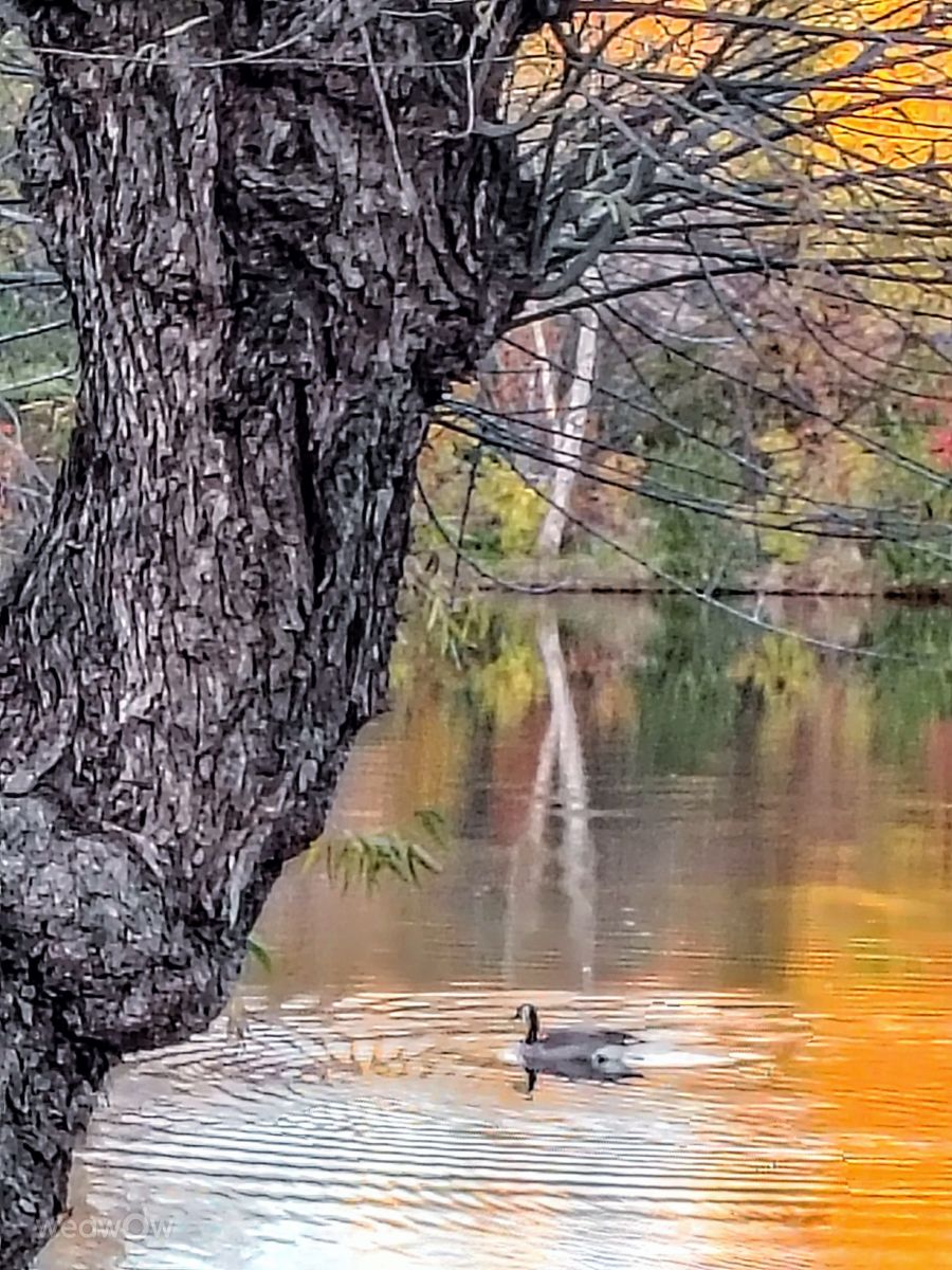 摄影师 Ghostroku，奇科的天气照片 - Weawow