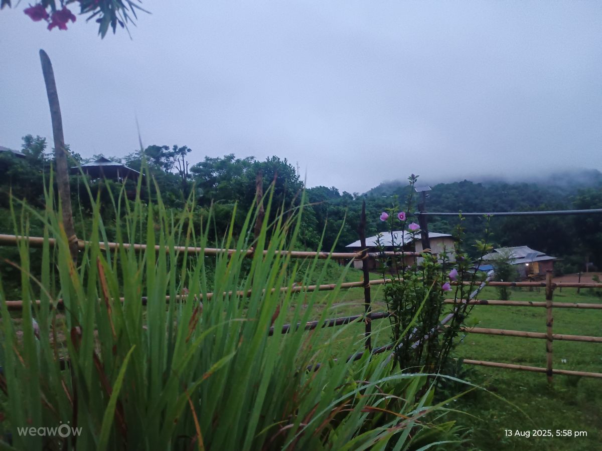 Weather Photos in Assam. Weather forecasts with beautiful photos by Lamkam