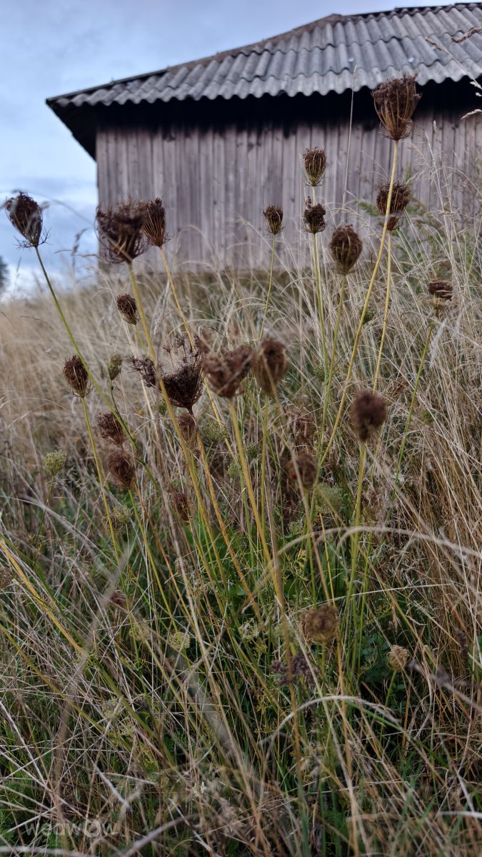Photos météo à Bihor. Prévisions météo avec de superbes photos de MakiCami