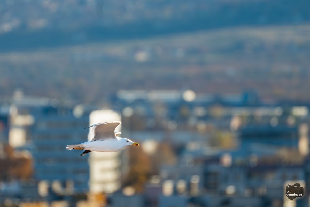 Фотографии Погоды в Пловдив. Прогнозы погоды с чудесными фотографиями, сделанными niki81vd