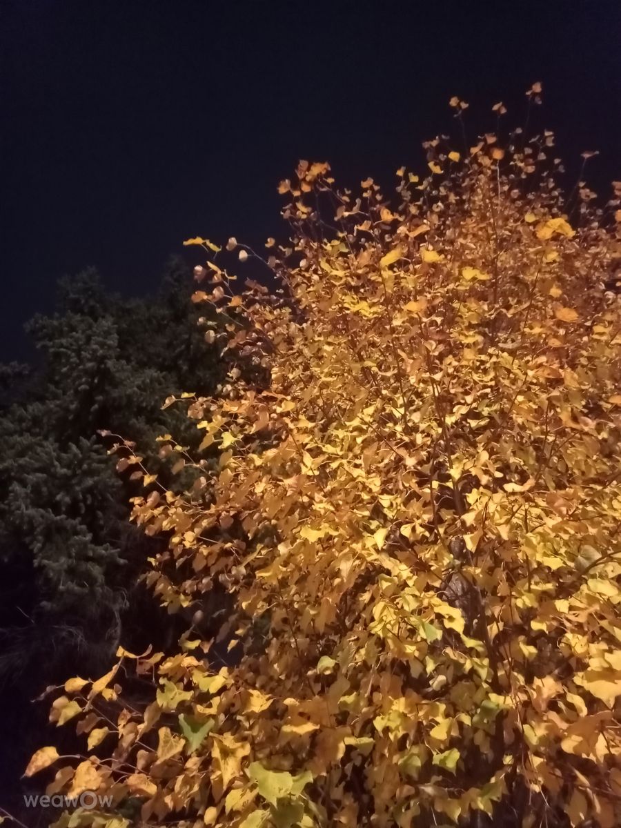 Wetter Photos Oblast Moskau. Wettervorhersagen mit schönen Fotos von Evgeniya77